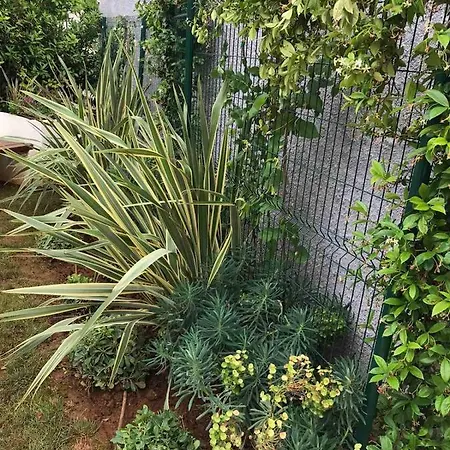 Nena I Ilka Apartament Pula