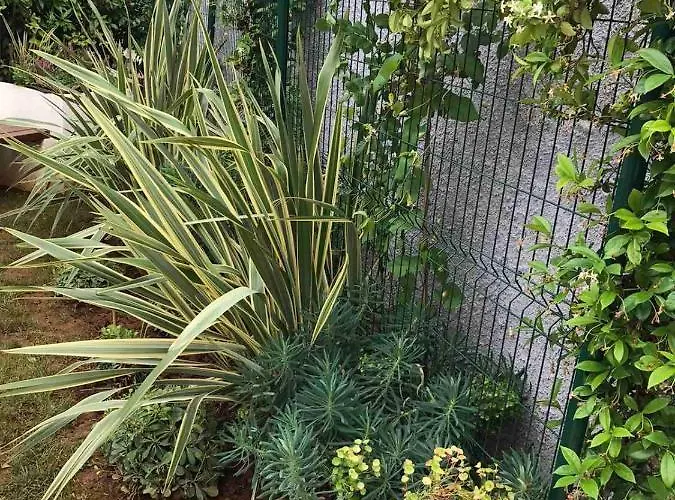 Nena I Ilka Apartman Pula